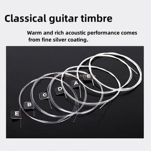 Classic silver plated guitar strings, nylon core, hard tension, rich in tone, first choice of music lovers, wounded, EJ46 10 Main Sales Nylon guitar rope - №6