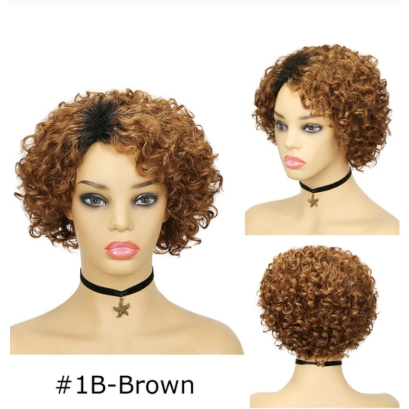 Women Afro Curly Short Wigs Brown Dark Roots Natural Wig US