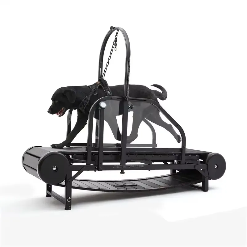 

Non-Electric Doggy Exercise Treadmill Outdoor Sport Slatmill for Dogs Training Pet Training Supplies