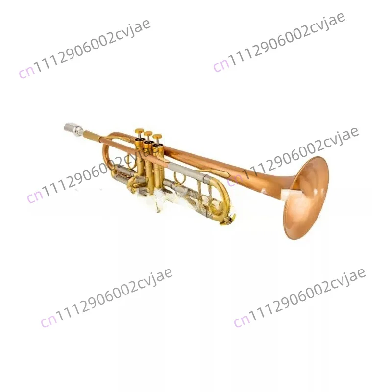 Trumpet in B flat trumpet instrument Brass trumpet instrument playing