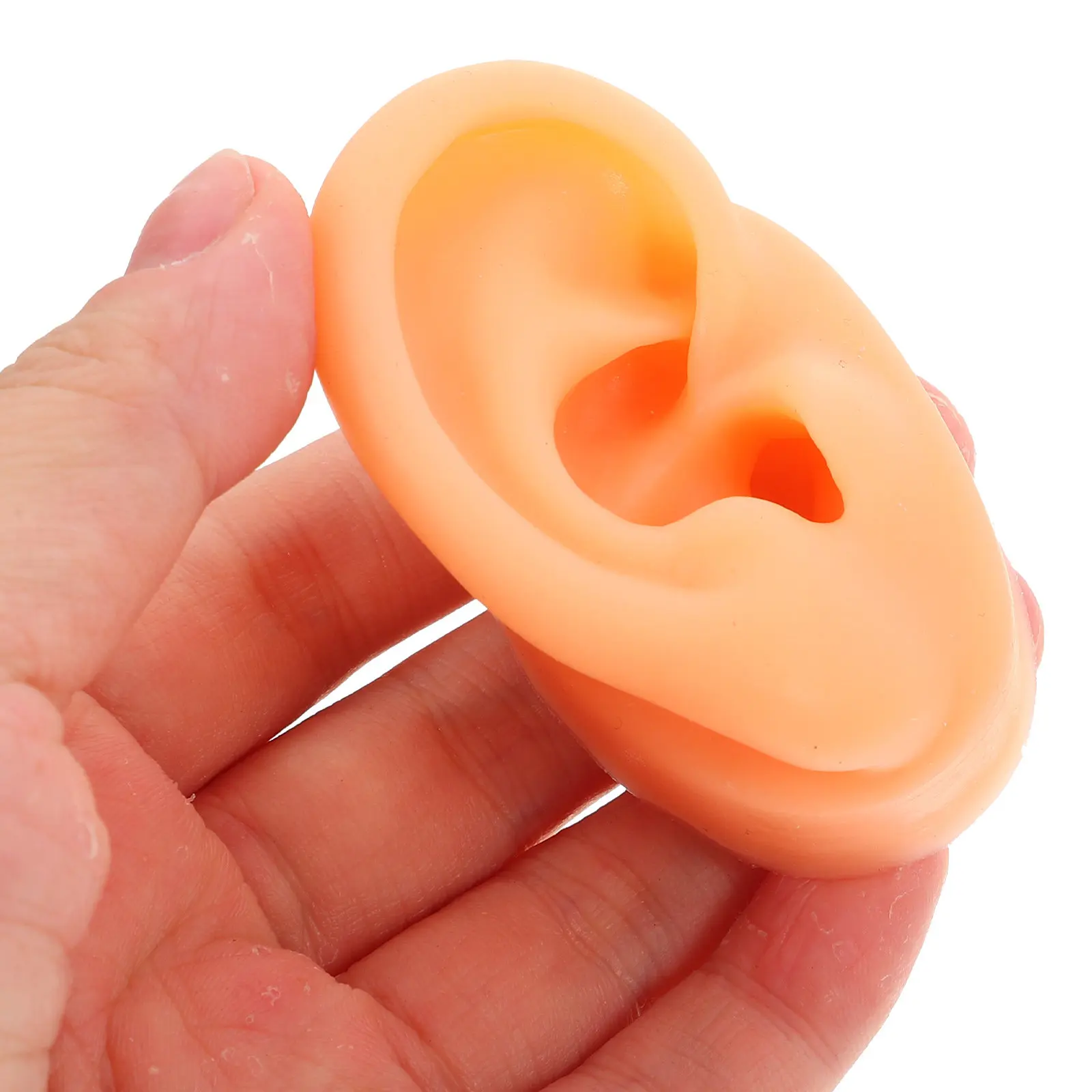 1Set Simulation Fake Face for Piercing Practice Includes Ear Nose Mouth Tongue Models Realistic Training Teaching Tool