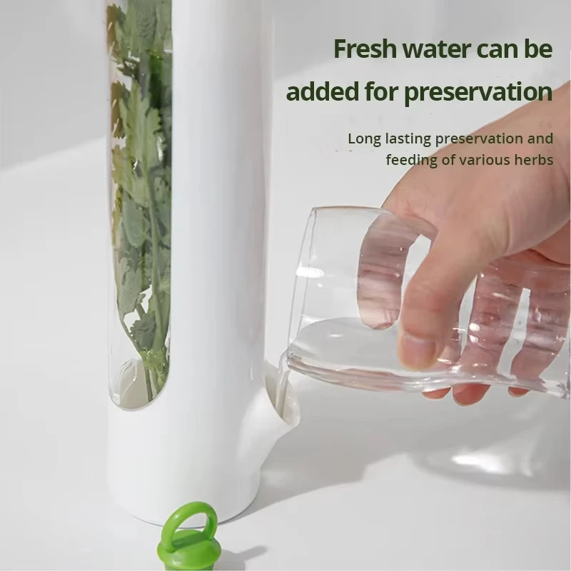 Herb Saver for Refrigerator Vegetable Preserving Bottle Fresh Herb Keeper Pod Cilantro Saver Container for Kitchen Storing Tool