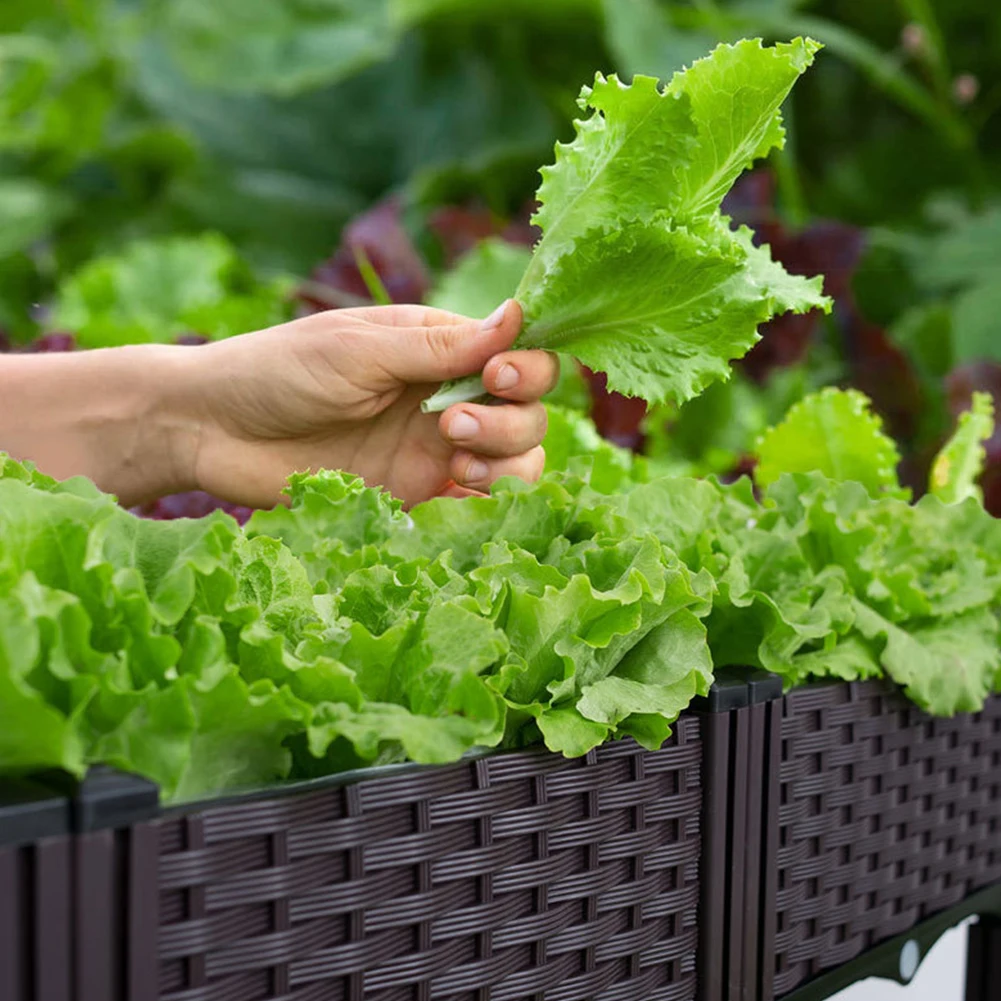 

Plastic Planting Container with Drainage Holes Raised Bed Elevated Propagation Box for Gardening Vegetables Fruits Flowers Herbs