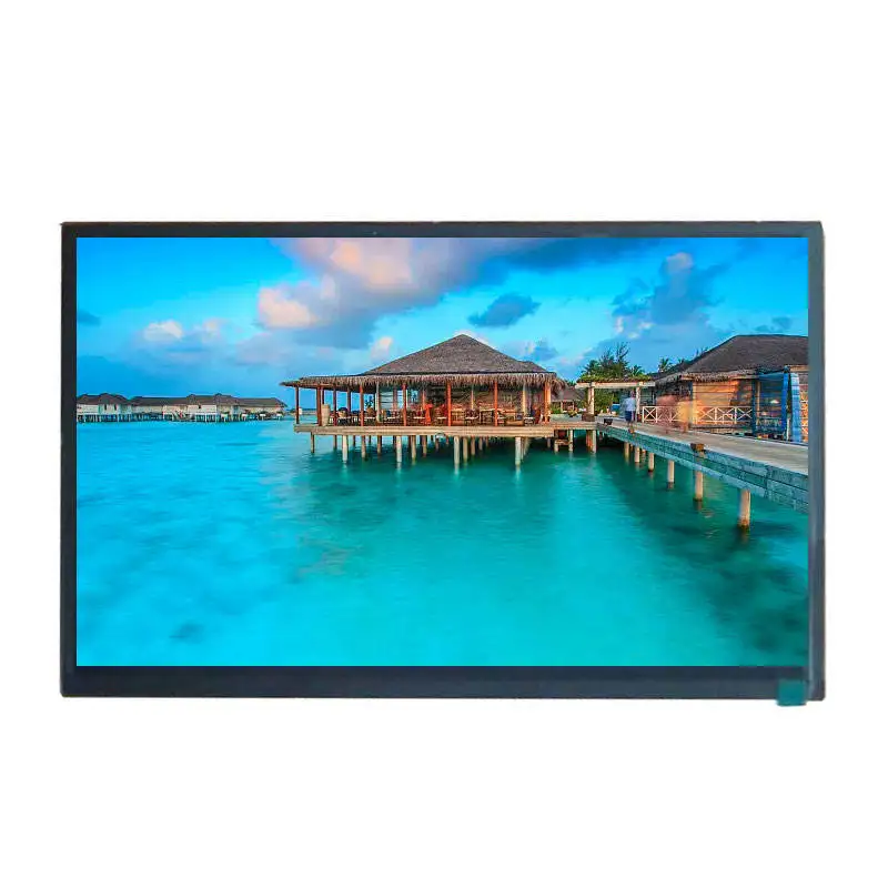 10.1 Inch EV101WUM-N20 LVDS 45 Pins Interface 1920x1200 TFT LCD Display High Brightness Whole Full View For Industrial Medical