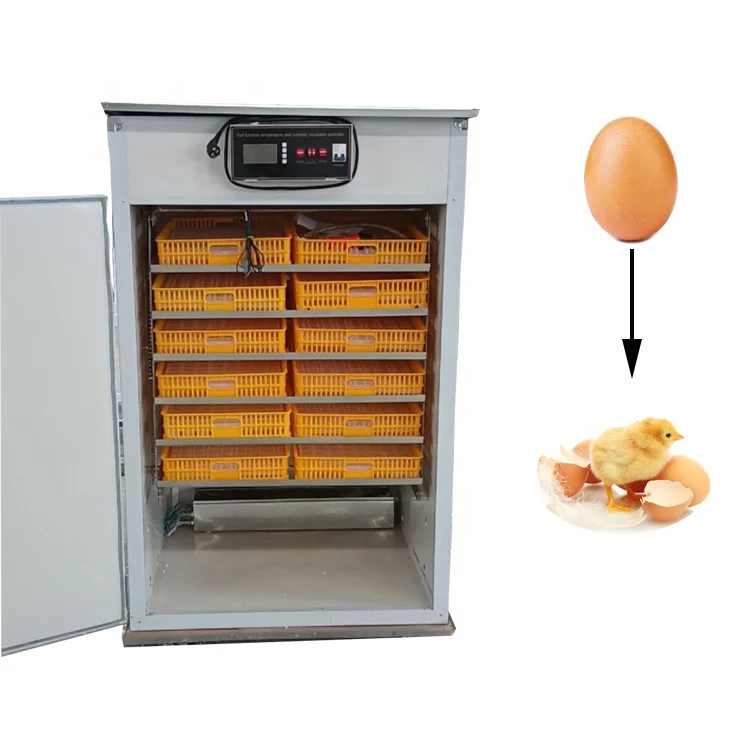 

Wholesale Low Price Fully Automatic Solar Eggs Incubator Hatching Eggs Machine Chicken Egg Incubators for 5280 Capacity