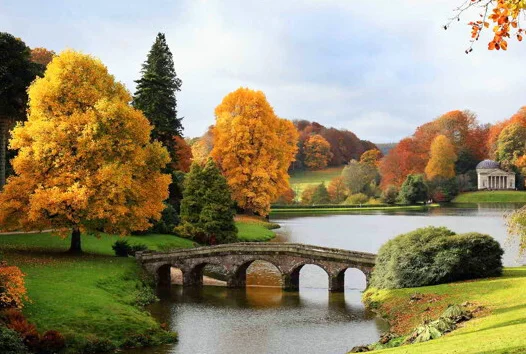 Kit de accesorios de marco Flywoo FlyLens 75/85: soporte VTX y placa inferior de fibra de carbono, para drones de estilo libre O4/O3 FPV