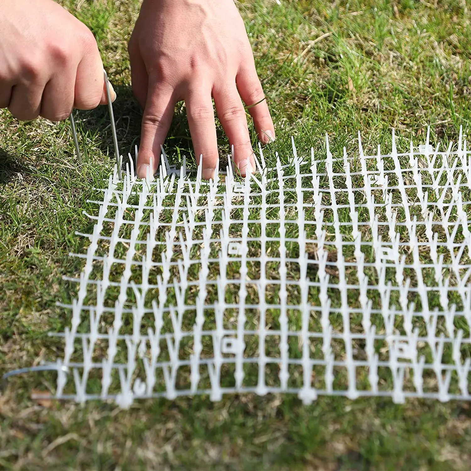 Katzenkotmatte weiß -4 m x 0,28 m, Anti-Katzen-Netzwerk mit Spikes, Garten-Grabstopper – Haustier-Hund-Katzen-Abschreckungsmatte für drinnen und draußen – Detail 18