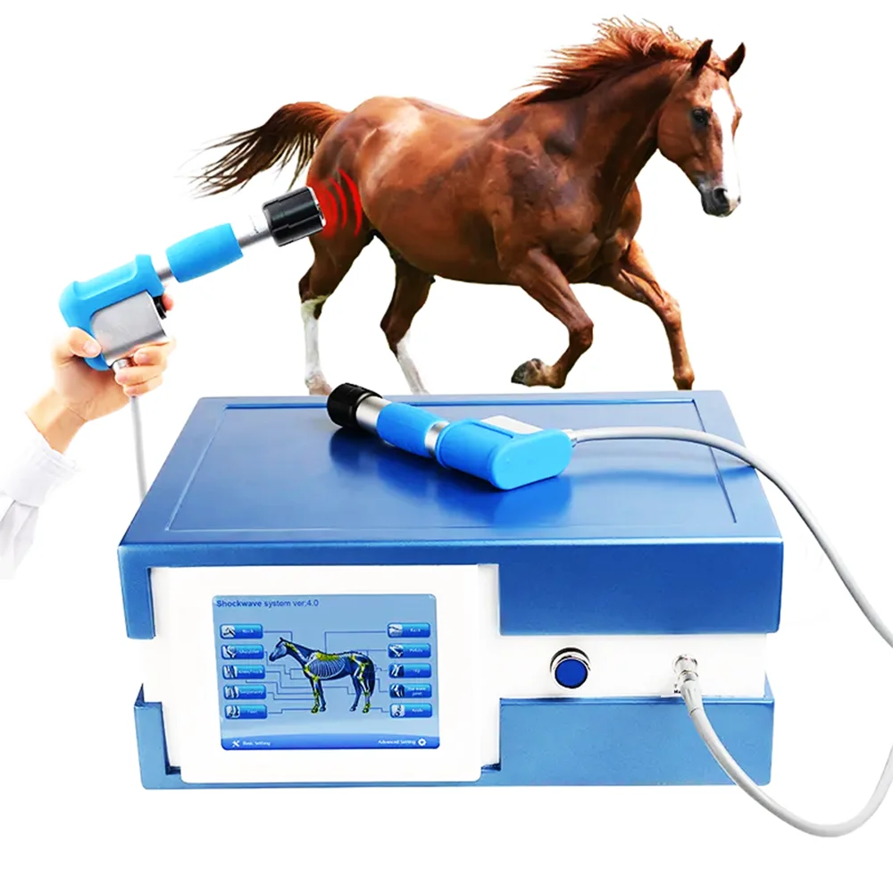 

Portable Veterinary Shockwave Therapy Machine Vet Equine Horse Shockwave Therapy Device