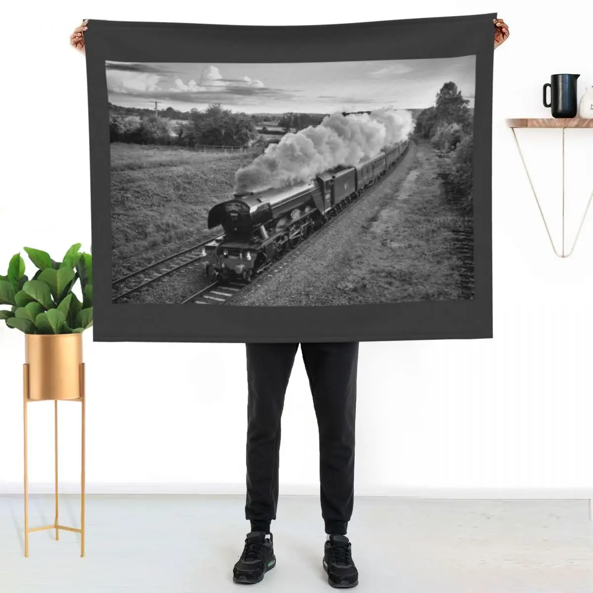 

Flying Scotsman - Black and White Throw Blanket Easy Care Comfortable Blanket for Couch