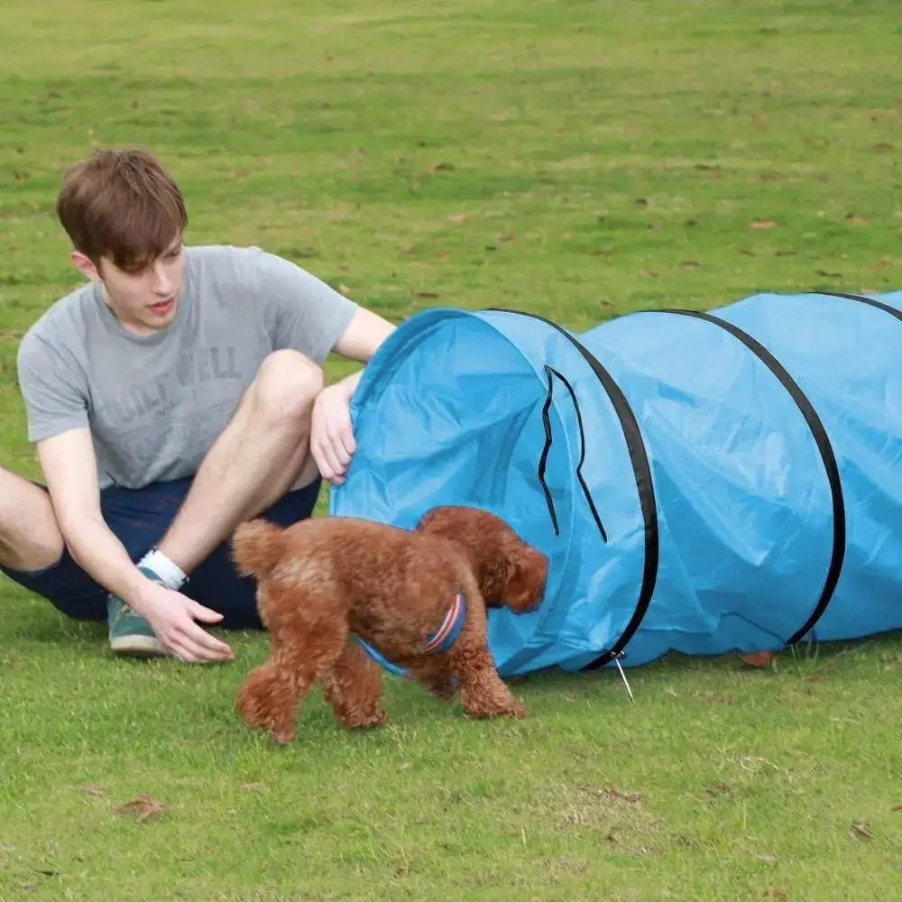 Pet Agility Tunnel 180-500cm, Foldable Cat Dog Training Tunnel Sports Toy for Outdoor Backyard Game