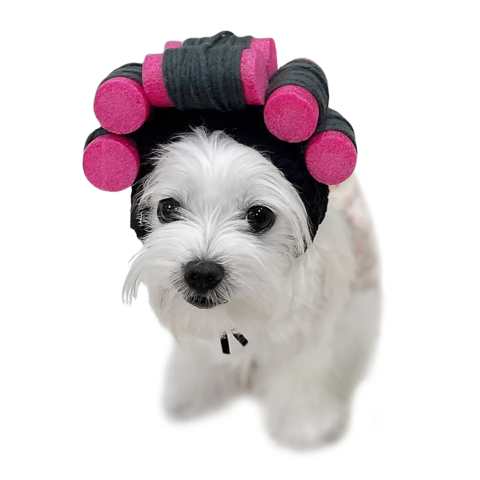 Curly Hair Perm Haircut Cross Dress Headgear Dog Hat Pet Cat Small Dog Hat Cute Photo Props Themed Party Fancy Dress Party