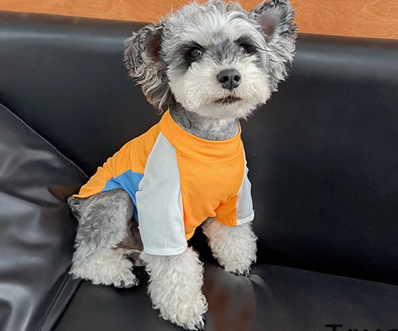 Ropa de Verano para Mascotas, Camiseta para Perro, Schnauzer, Yorkie, Shih Tzu, West Highland White Terrier, Maltese, Pomeranian, Bichon, Poodle