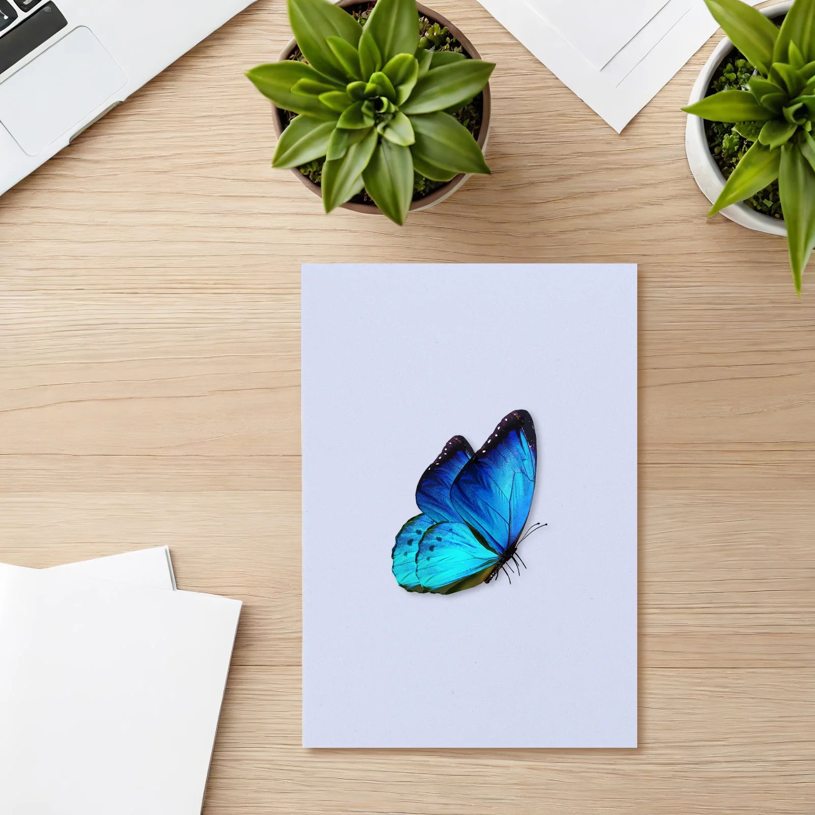 3pcs Insect Specimen Spreading Board Eva Foam Pinning Surface For Entomology Research Portable Display Tool White Background