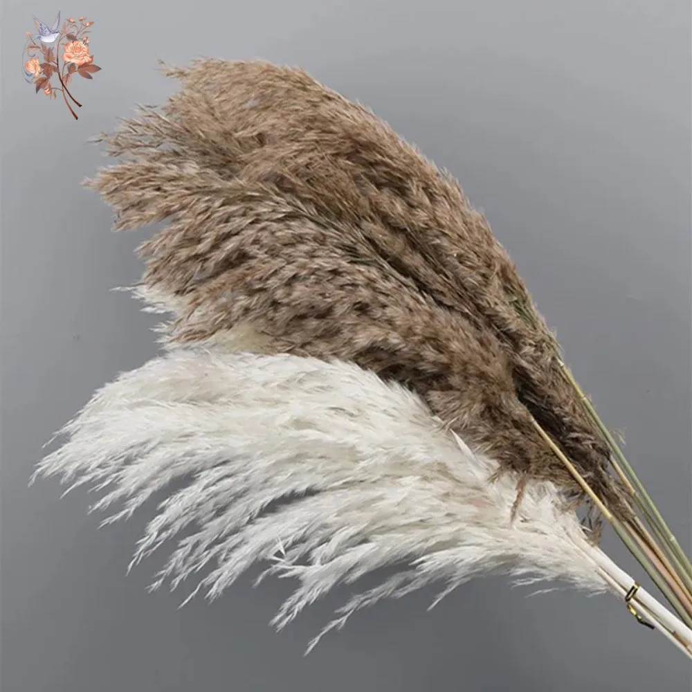 Fluffy Dried Pampas Bouquet Boho Home Decoration Natural Phragmites Reed Pampa Bunch Wedding Artificial Flowers Shooting Props