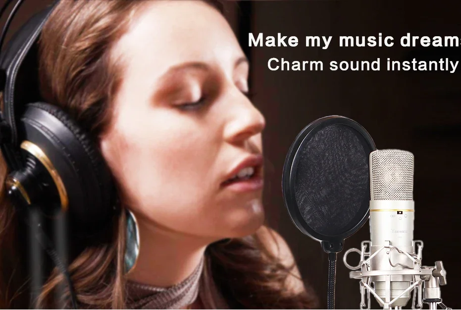 YR01 XLR Condenser Microphone Professional Recording Microphone Music Create Broadcast studio microphone