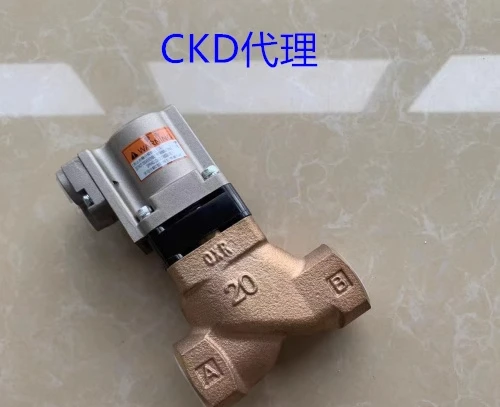 Ckd Gas Control Val…