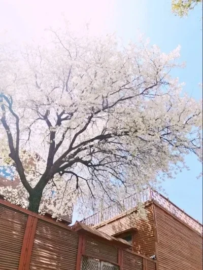 Upgrade onderdelen carrosserie post wijzigen accessoires onderdeel voor LC RACING # L6033 wltoys 144001 144010 124017 124019