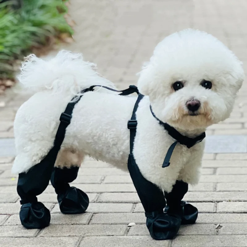 #65 Best Rain Boots to Buy In 2026