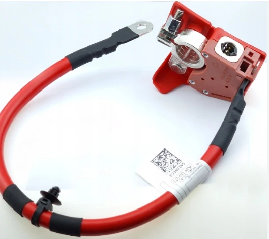 

61128796155 Positive Battery Fuse Cable 61128796959 61128704706 For Bmw 3 G20 G28 G21 4 G22 G23 2019-2022 12v Car high quality