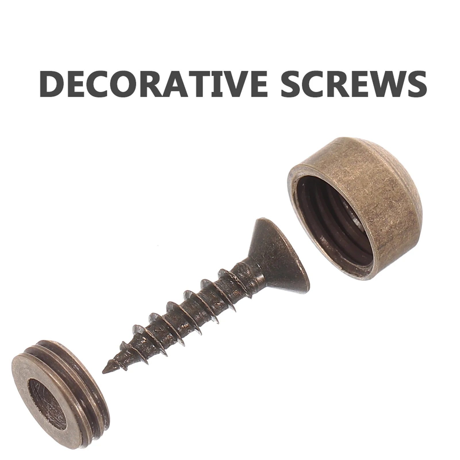 

Decorative Screw Caps for Mirror Hanging Hardware Self Tapping Screws Fasteners Mounting Kit for Signs and Displays