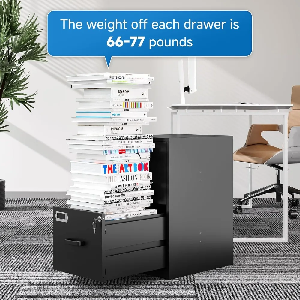 2 Drawer File Cabinet with Lock Vertical Filing Storage Cabinet Office Home Steel Vertical File Cabinets for Letter Size File Ca