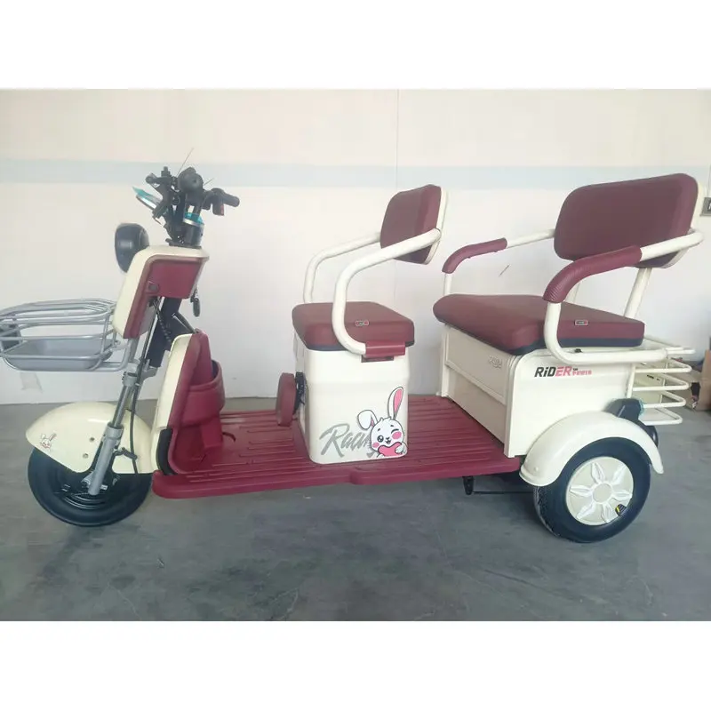 ترقية الساخن بيع 650 واط/800 واط الكهربائية الصلب المفتوحة الجسم 3-عجلات الركاب دراجة ثلاثية العجلات #3