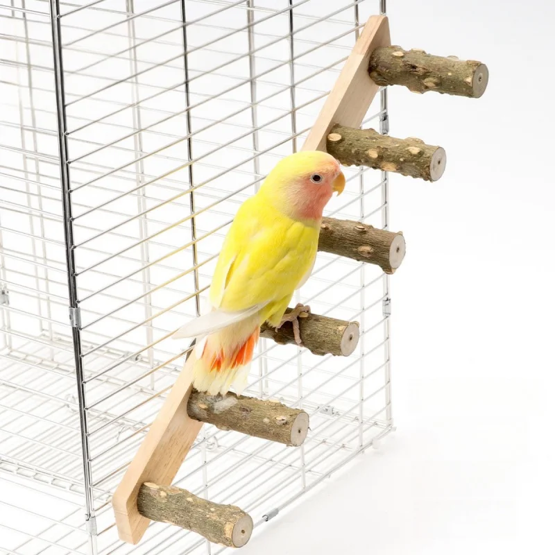 Escalera interactiva de madera, juguete de entrenamiento para mascotas pequeñas, pájaro, loro, hámsteres, garra, molienda, escalera de madera, columpio, escalada
