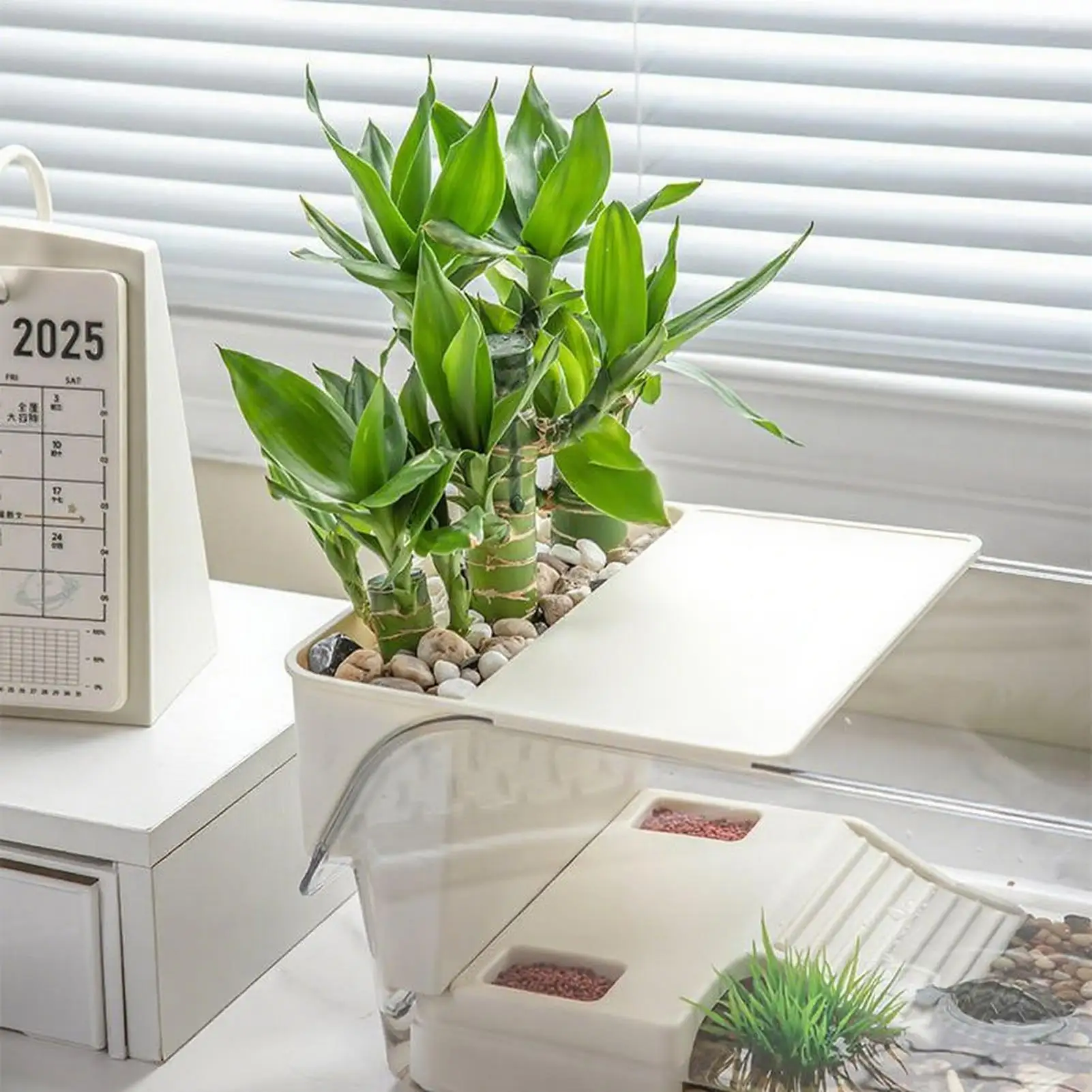 

Turtle Breeding Tank Turtle Tank Amphibians Reptile Breeding Box Tortoise Habitat With Basking Platforms Desktop landscaping