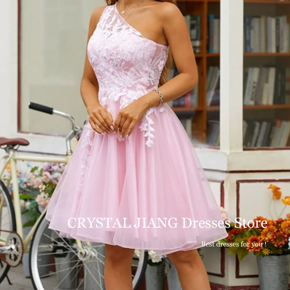 Homecoming Dress Women Short One Shoulder Tulle Lace Natural Waist Sleeveless A Line Mini Length Formal Dress