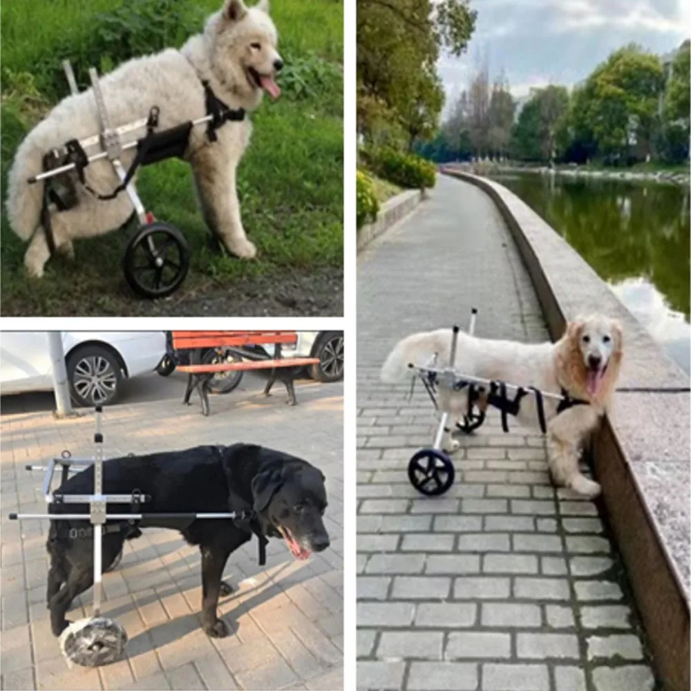 TwoWheeled Dog Wheelchair Rear Limb Lumbar Disability Scooter Medium Large Dog Paralyzed Wheelchair Elderly Rear Leg Booster Car