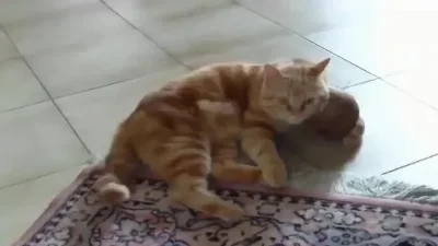 Ntc Sensor F540 300…