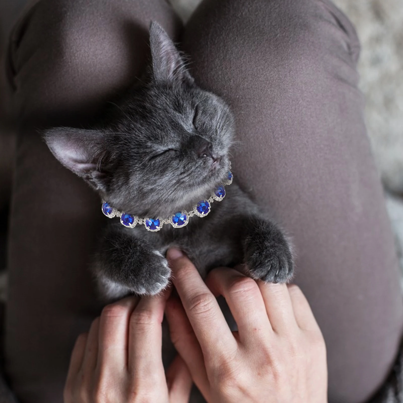

Adjustable Pet Delicate Puppy Collar Decorative Kitten Collar For Small Dogs Premium Comfortable Durable Party Decoration