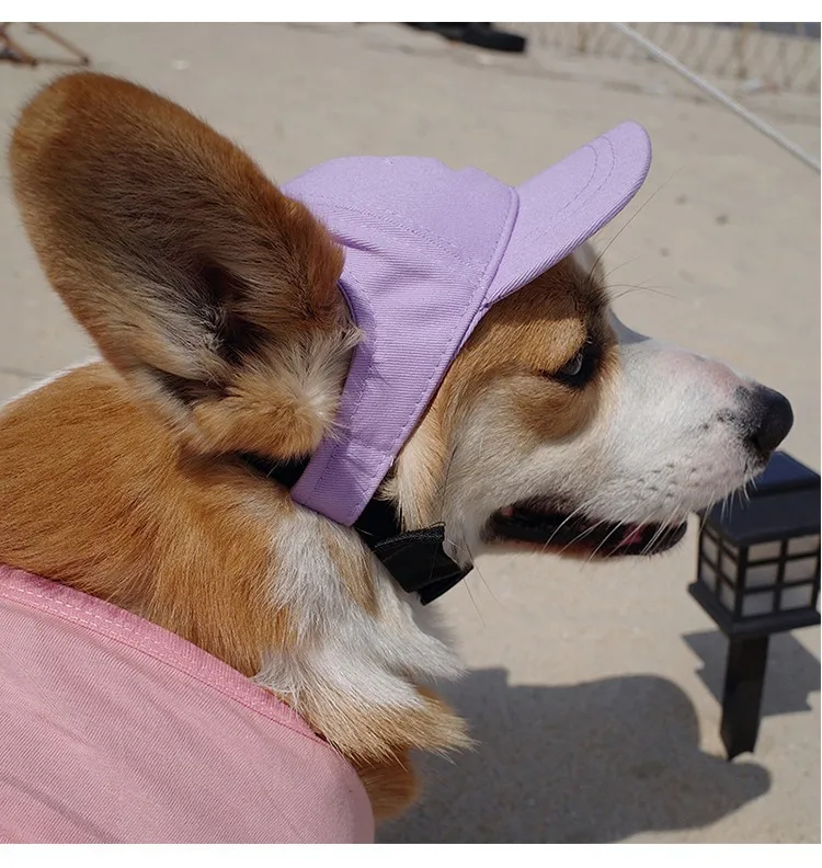 Pet Hat.