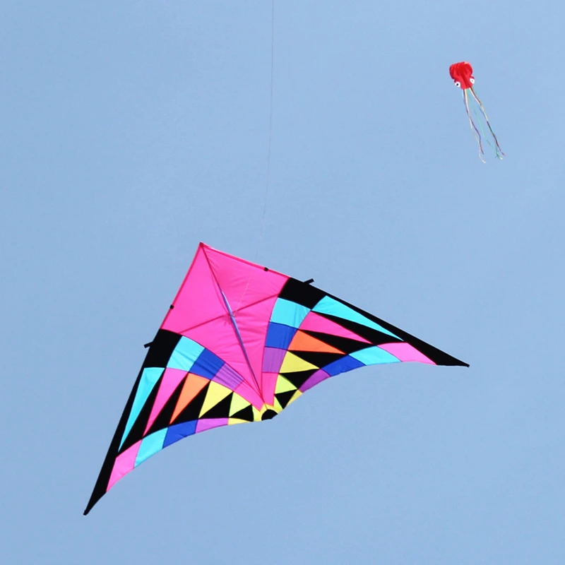 kostenloser versand 6qm delta kite für erwachsene fliegen professionelle fallschirm paraglider im freien spielen pipa voadora angeln kite spiele