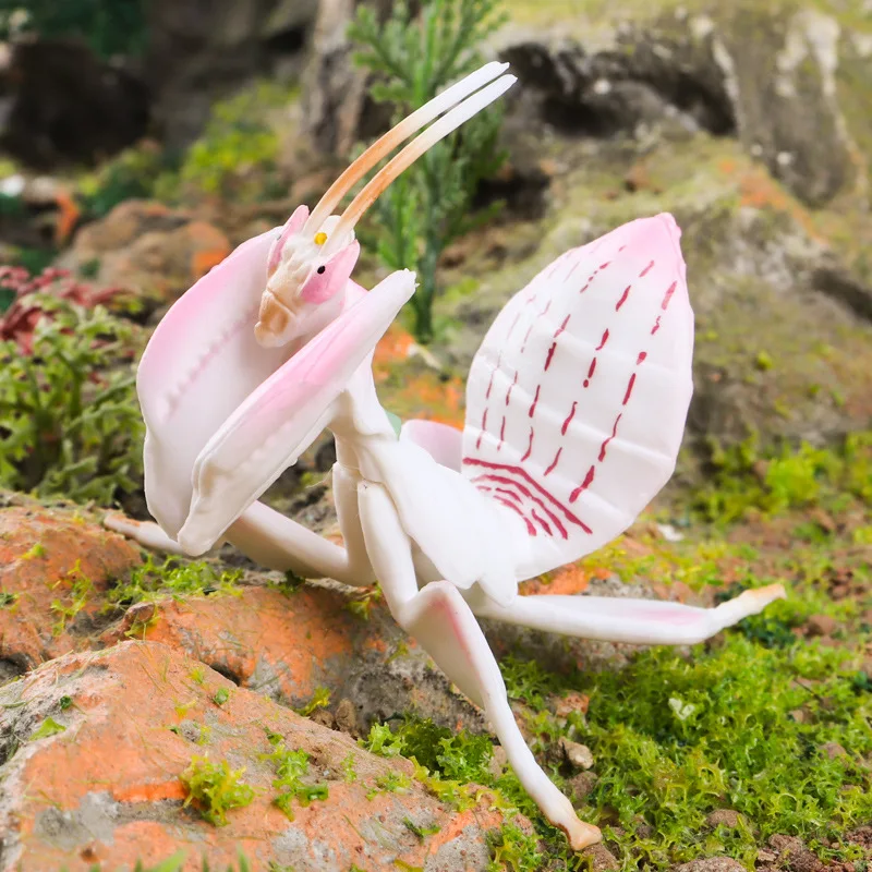 Simulated Solid Orchid Mantis Miniature Figures Artificial Early Education Toy Model Collection Ornaments Garden Statues Decor