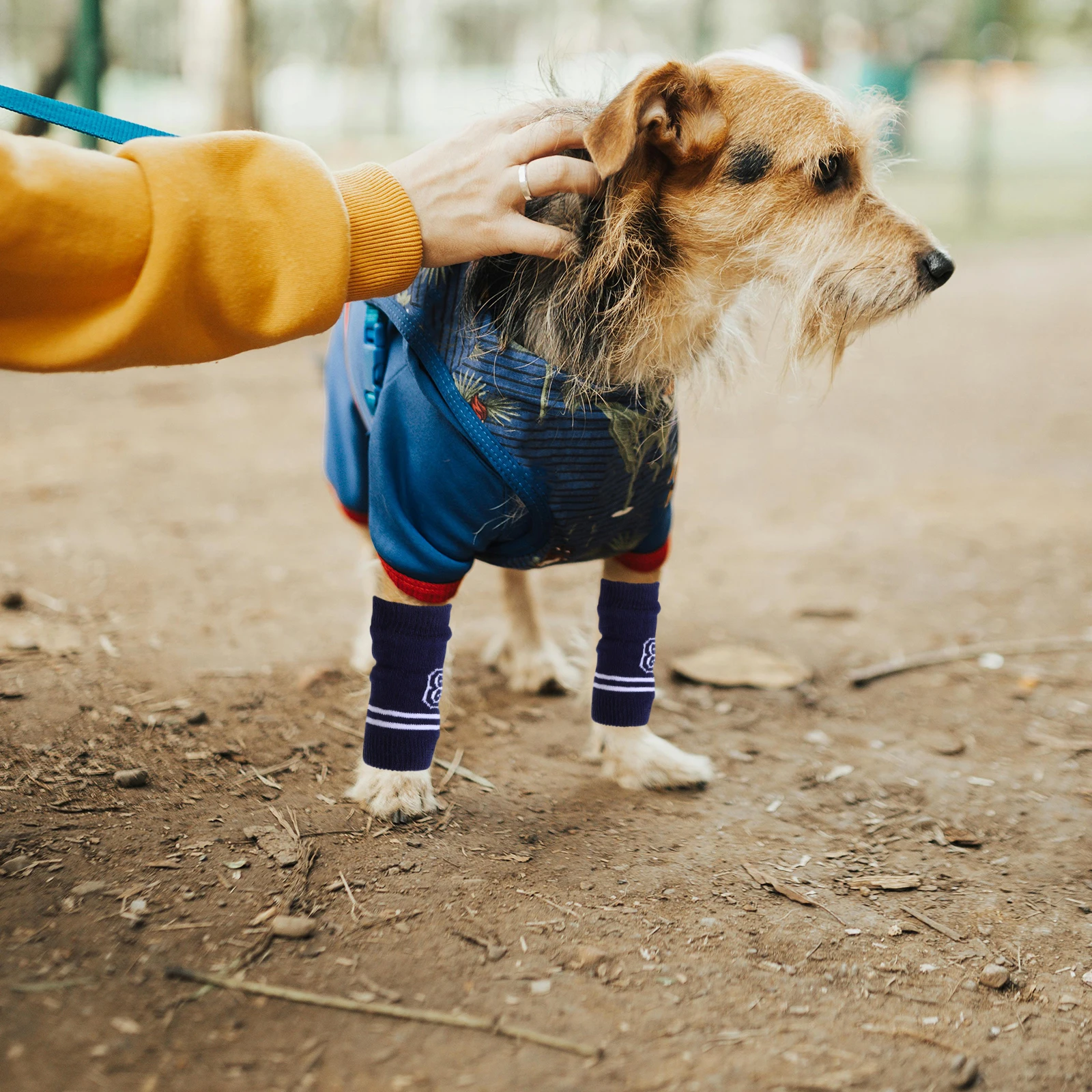 

4pcs Dog Elbow Sleeves Knitted Pet Leg Warmers Elastic Breathable Joint Protectors For Small Dogs Reusable Machine Washable