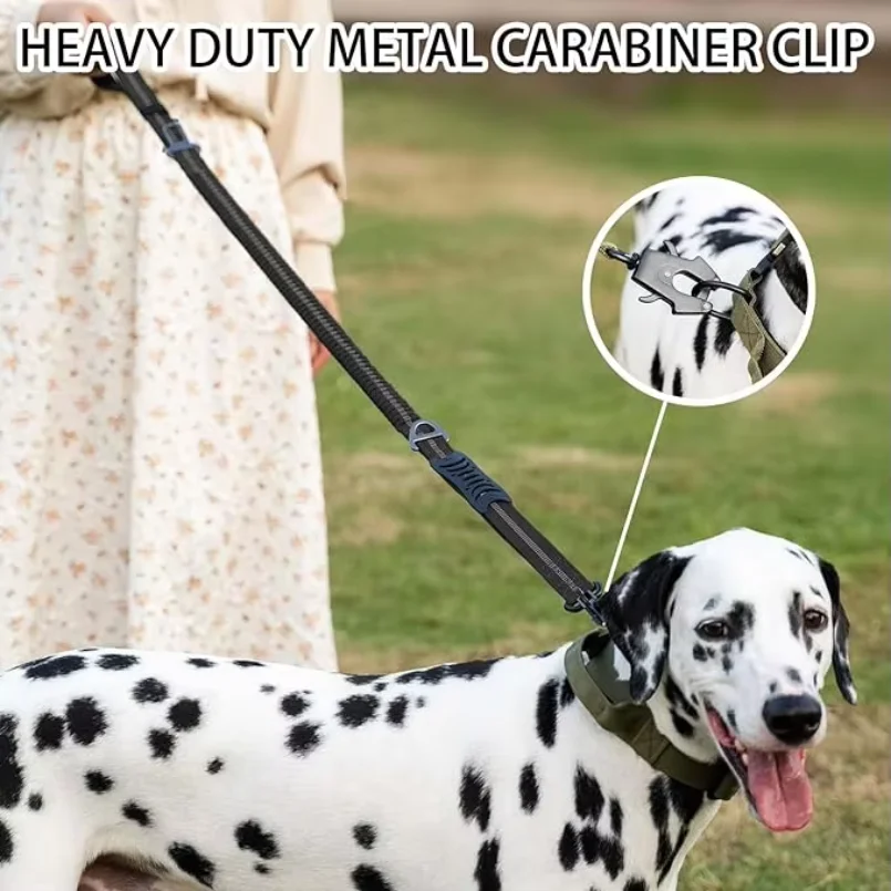 Correas Reflectantes para Masc - Bungee Dog Leash Shock Absorbing reseña y precio