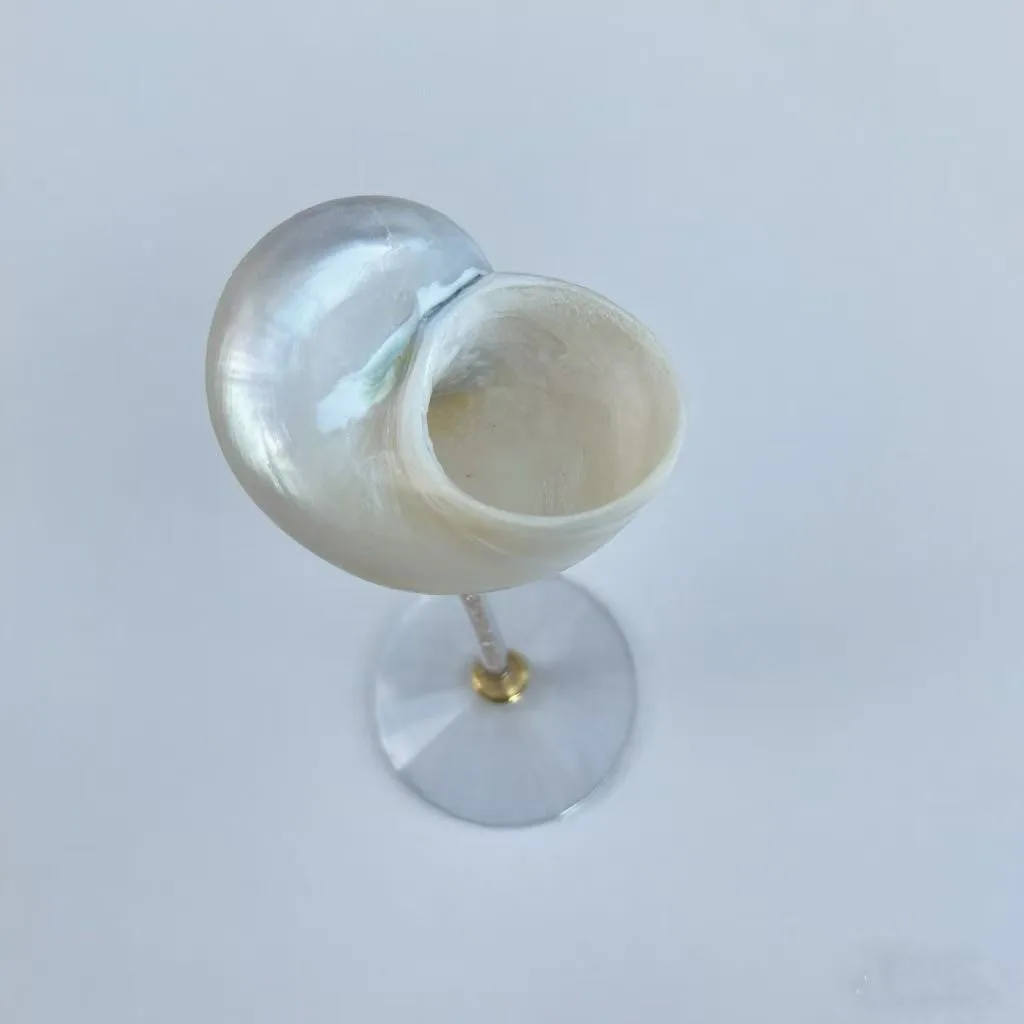 CX light luxury personalized natural conch shell goblet handmade creative champagne red wine cup