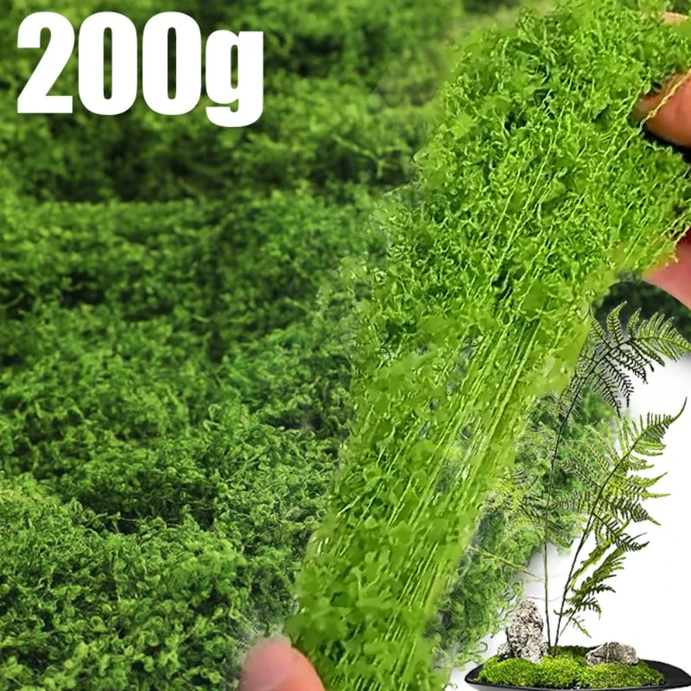 200G Fake Moss Diy …