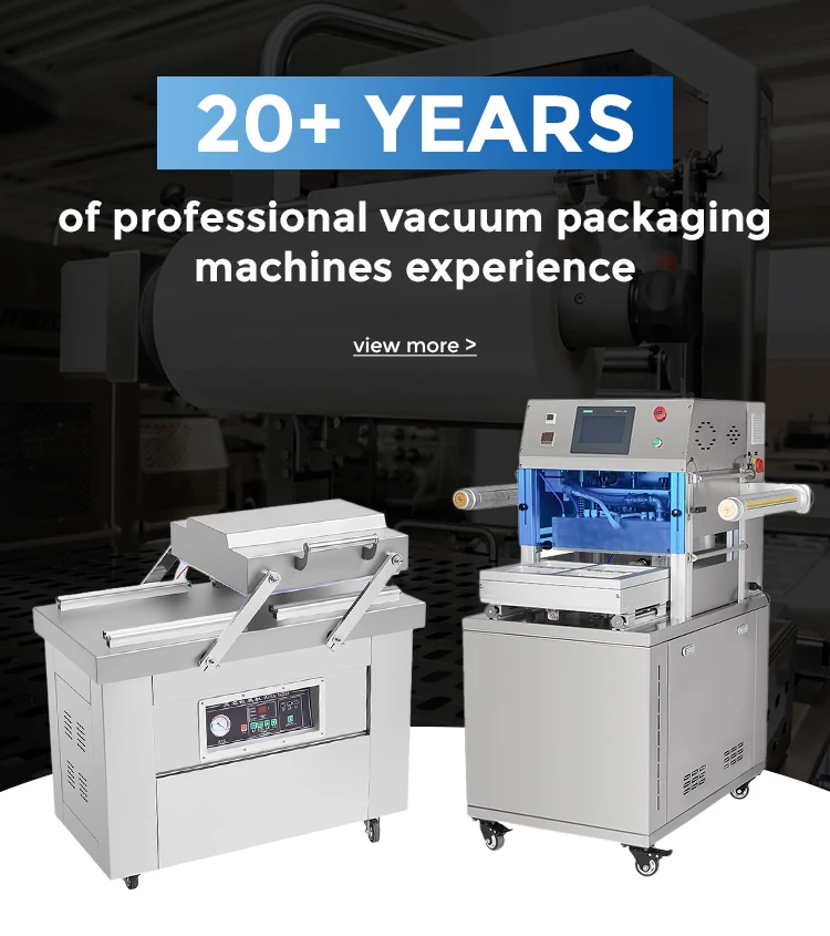 Double Vacuum Sealing  DZ-800-A Packing  for Food Preservation and Long Term Storage view 6