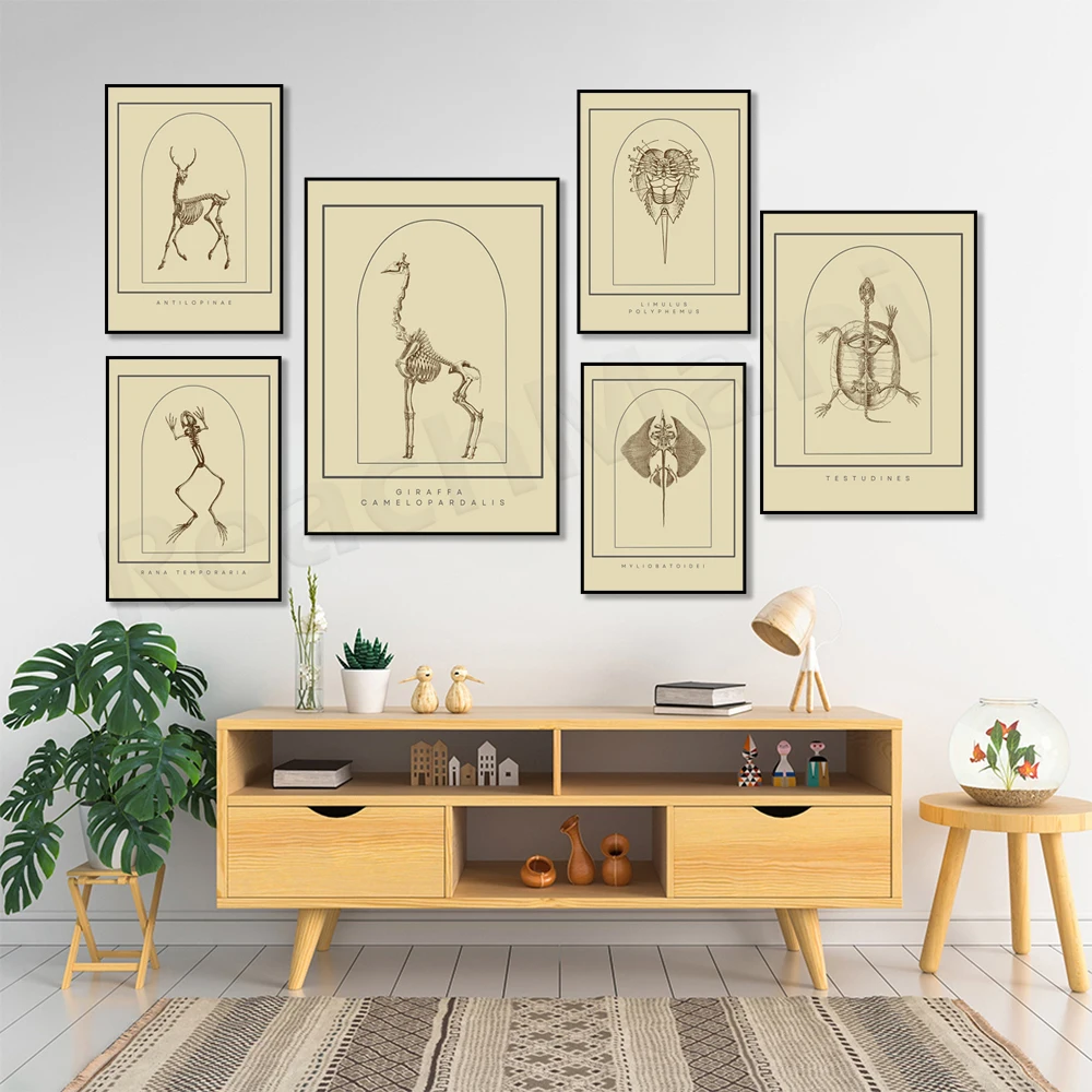 Stingray, flounder, giraffe, frog, horseshoe crab, antelope animal, frog, turtle anatomy, animal skeleton, marine life poster