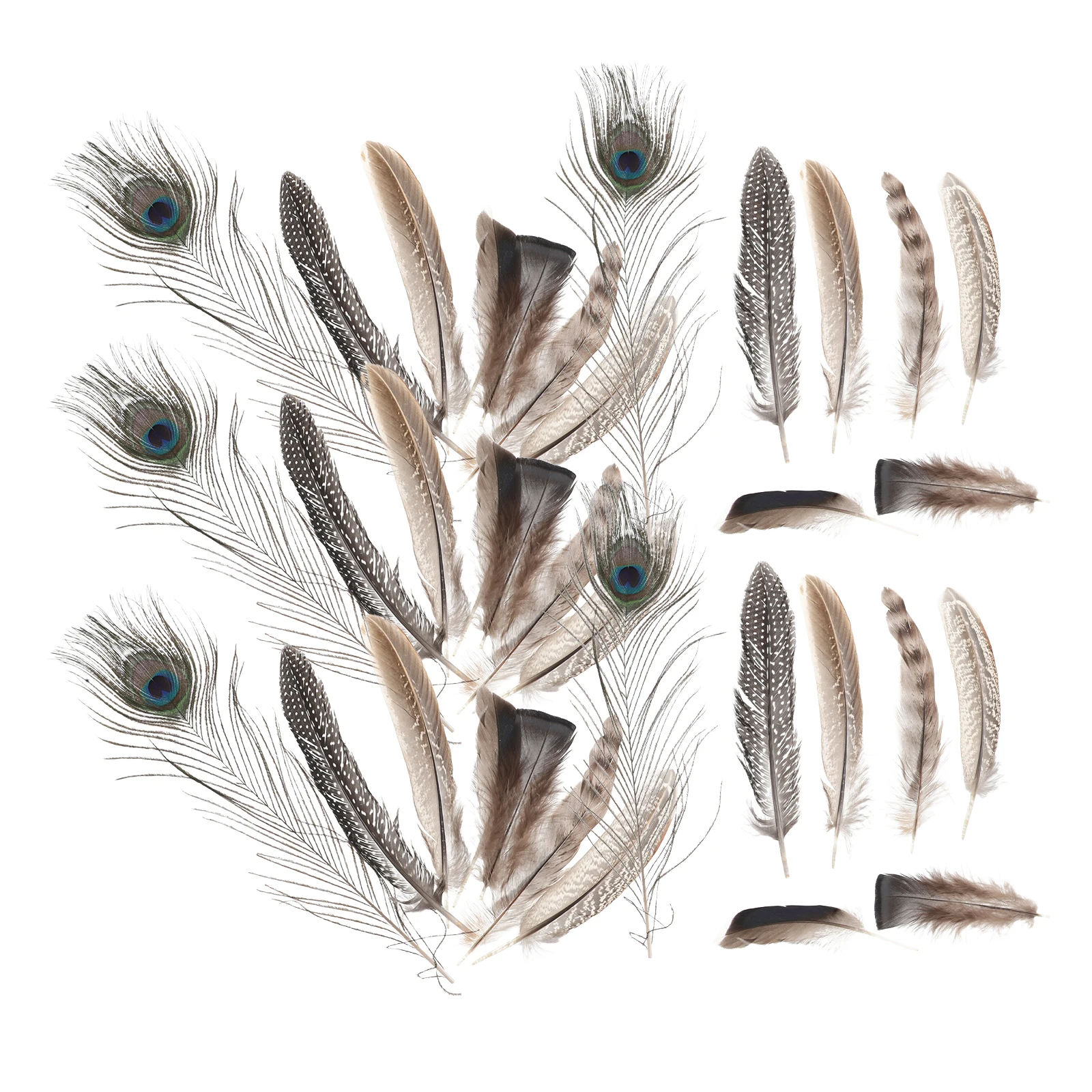 

6 Pcs Natural Jewelry Beautiful Plumes Decorative Pheasant Dream Catcher Making Colored Craft Decoration