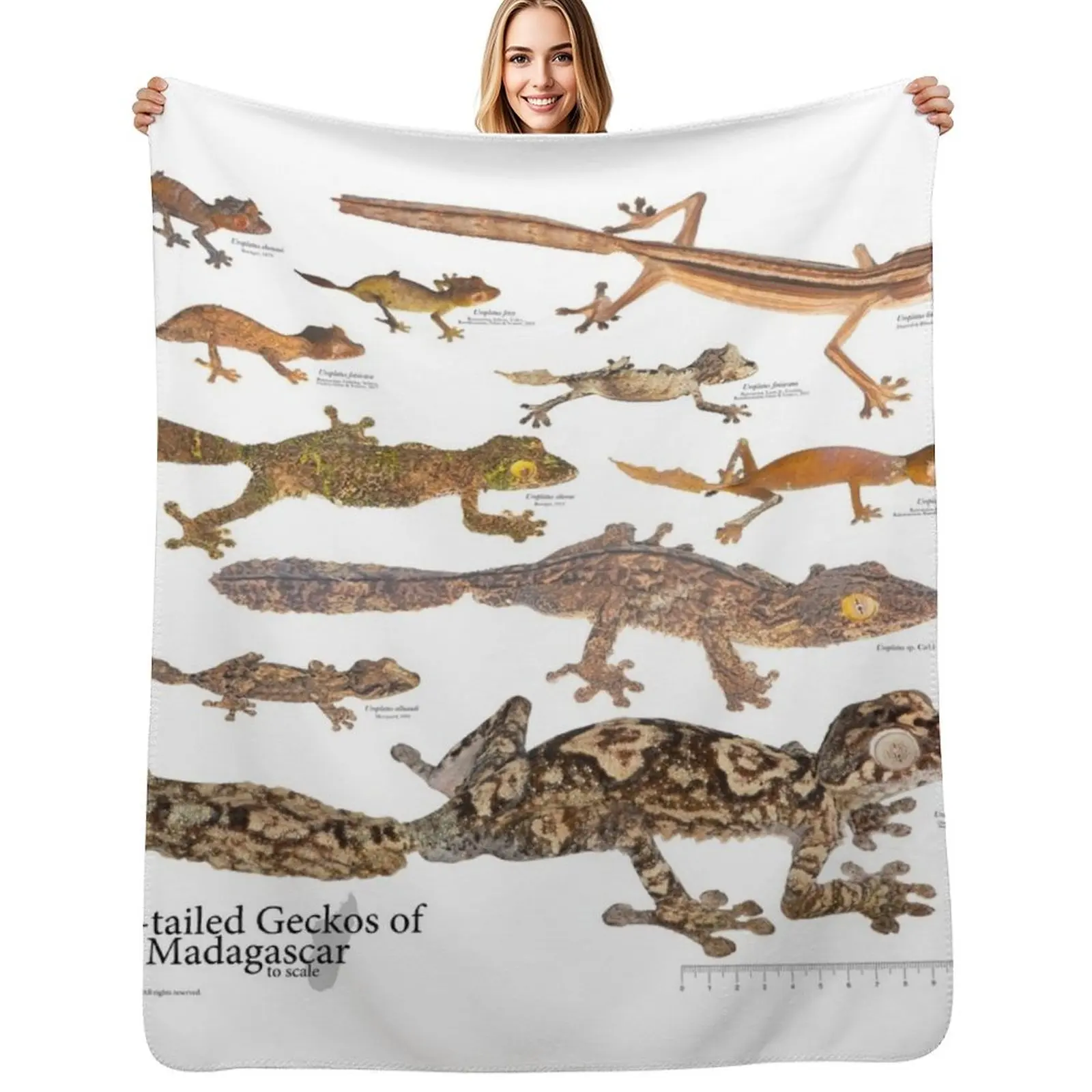 Some Leaf-Tailed Geckos of Madagascar to Scale, Version 1.0 Throw Blanket bed plaid For Sofa Thin Furry Blankets
