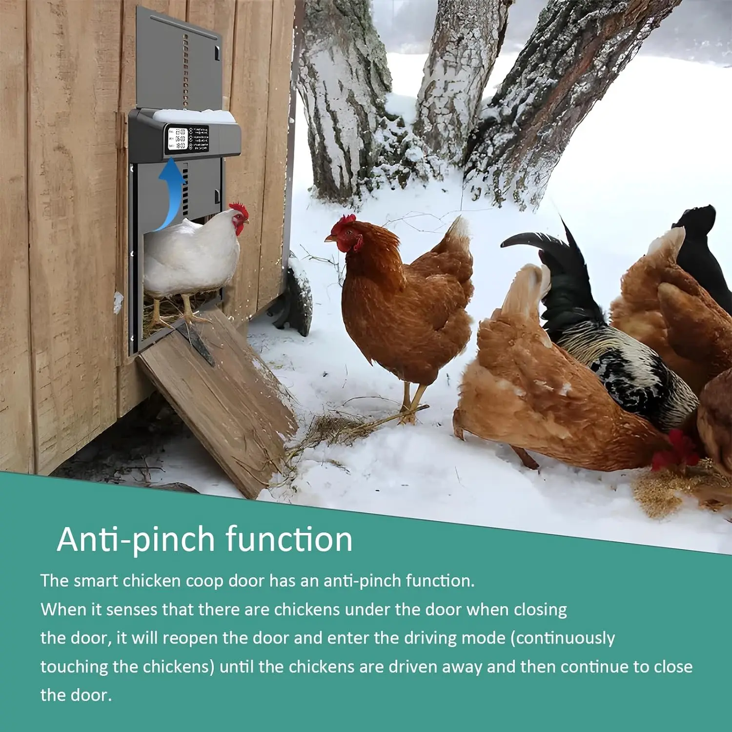 건전지 알루미늄 자동 닭장 문, 방수 디스플레이 타이머 및 지능형 핀치 방지 기능 탑재