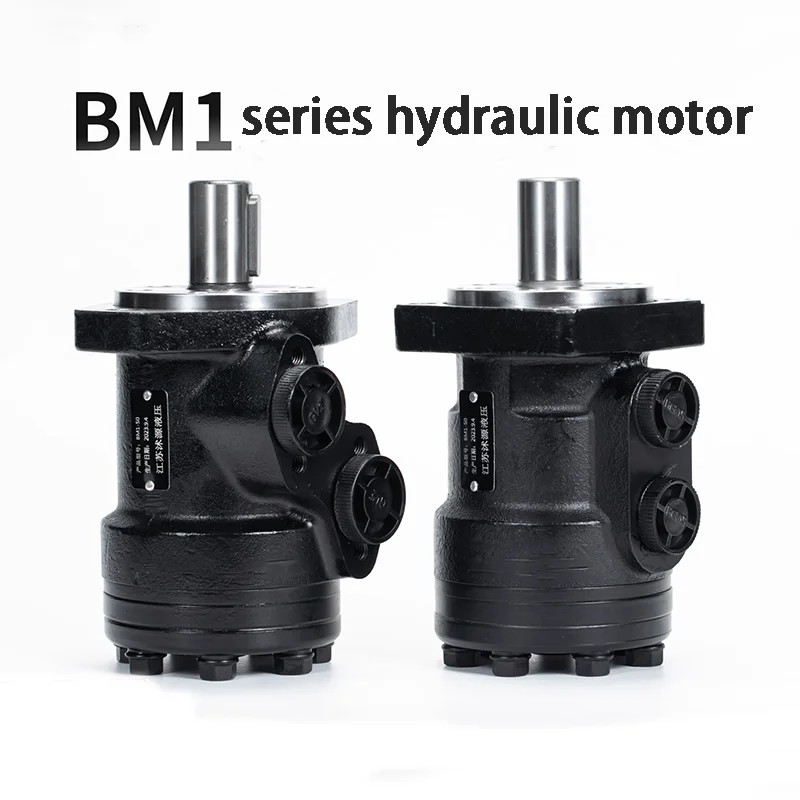 Hydraulic Motor BM1 Injection Molding Machine Mold Motor High Torque Low Speed Cycloid Motor Rotary Motor 160400