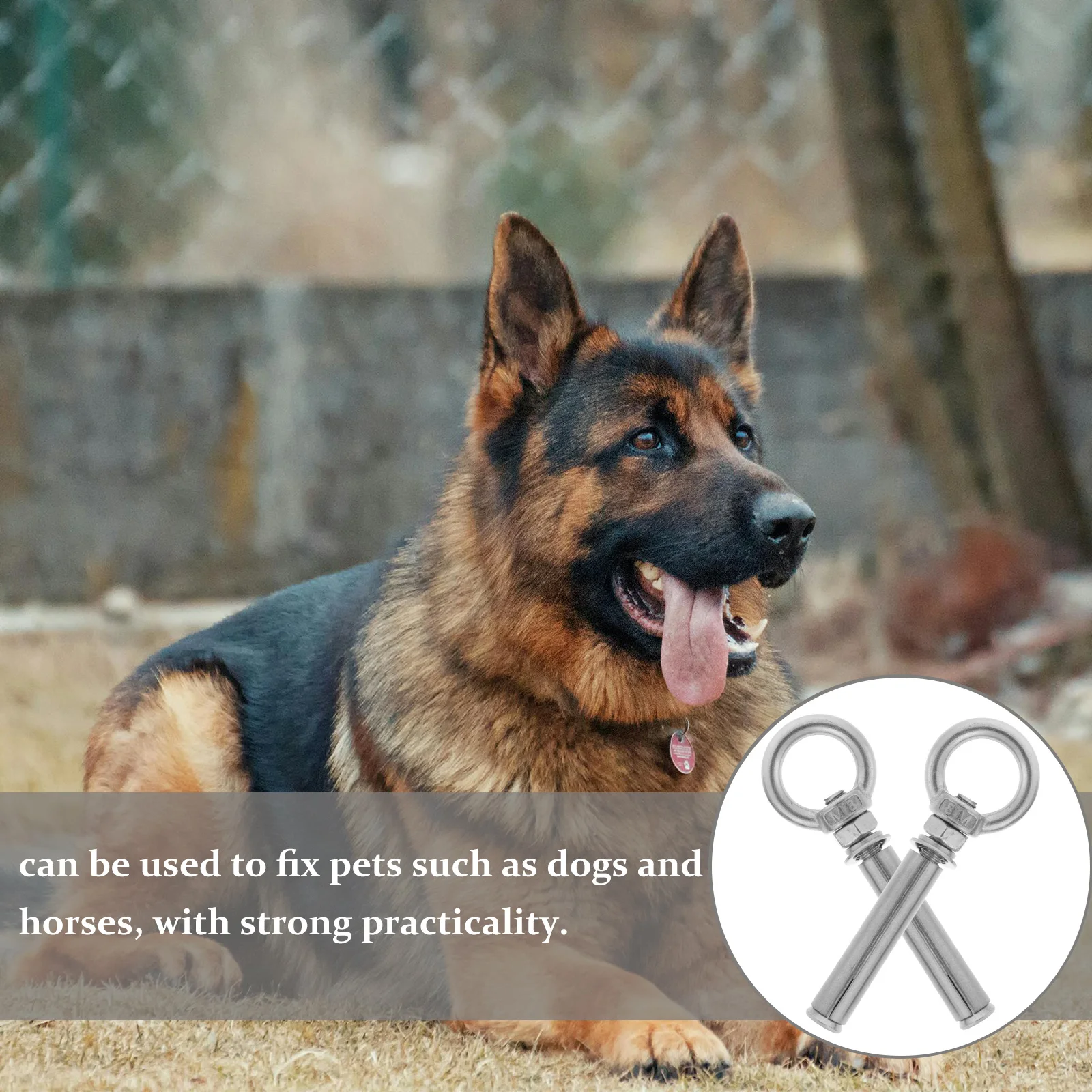 

5Pcs Stainless Steel Dog Tie Out Stake Heavy Duty Outdoor Yard Anchor Ground Spike for Secure Pet Tethering Camping Hiking