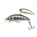TROUT
