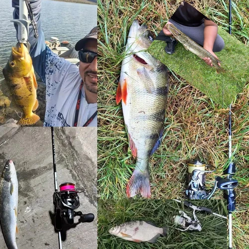 Imagen 2 del producto BIUTIFU-cañas de pescar XUL ultraligeras, 0,2-8g, T800, fibra de carbono, anillos Fuji/LS, PHISHGER, punta sólida rápida para trucha