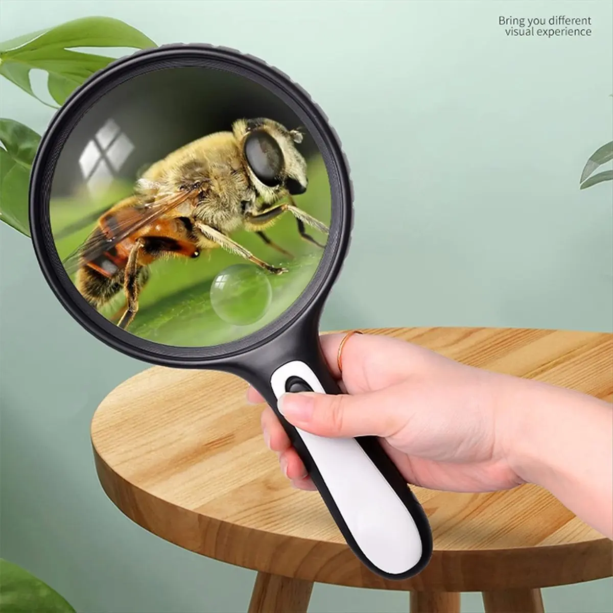 Handheld LED Magnifying Glass 3-30X/60X, Large Lighted Magnifier for Reading, Seniors, and Crafts