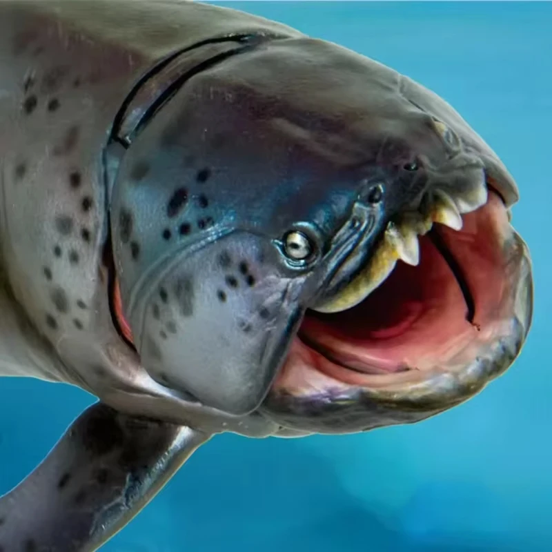 

Dunkleosteus Zaha Dinosaur King Growth Companion Model 47 highly restored simulation toy figurine suitable for collecting
